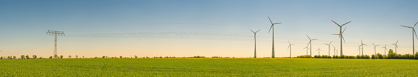 field with wind turbines and electricity poles